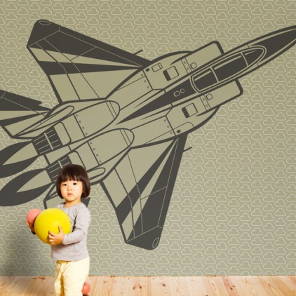 wallpaper mural jet plane