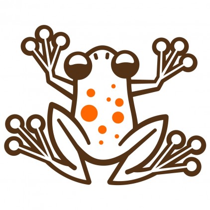 sticker enfant jungle grenouilles