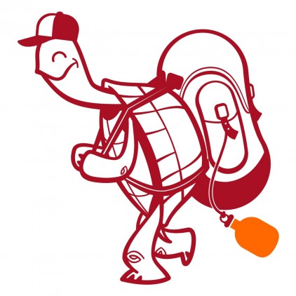 turtle train station kids wall decals