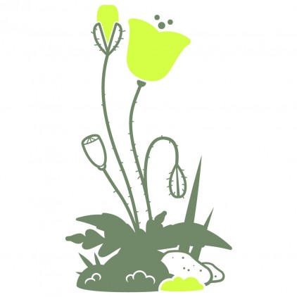 stickers enfant insectes nature jardin coquelicot