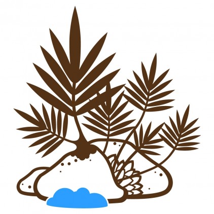 tropical plant rain forest jungle kids wall decals