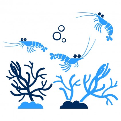  shrimps & coral underwater world kids wall decals